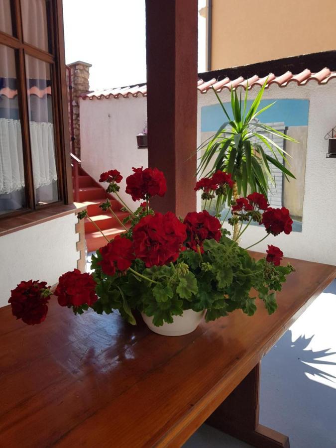 Apartments Varga Senj  Ngoại thất bức ảnh